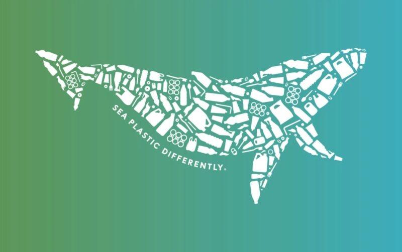 Silly Nice recupera 694 libras de plástico destinado ao oceano em 2024.