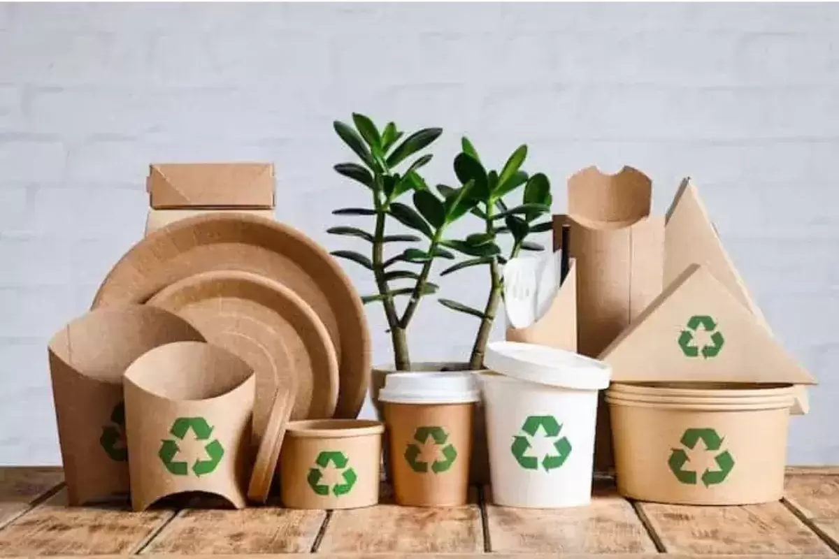 Emballage Zéro Déchet : Recyclage et Réutilisation des Matériaux pour un Avenir Durable
