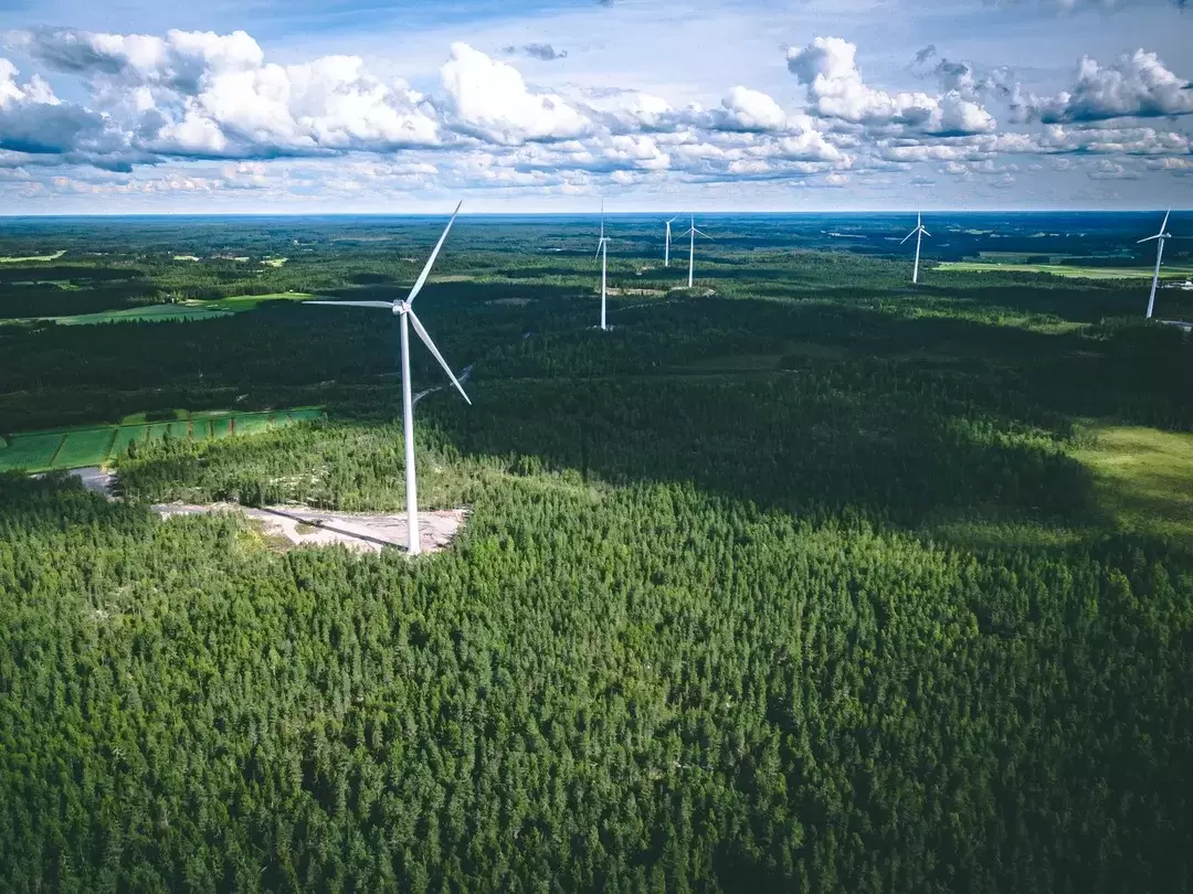 ¿Cómo reacciona la industria del embalaje al Acuerdo Industrial Limpio?