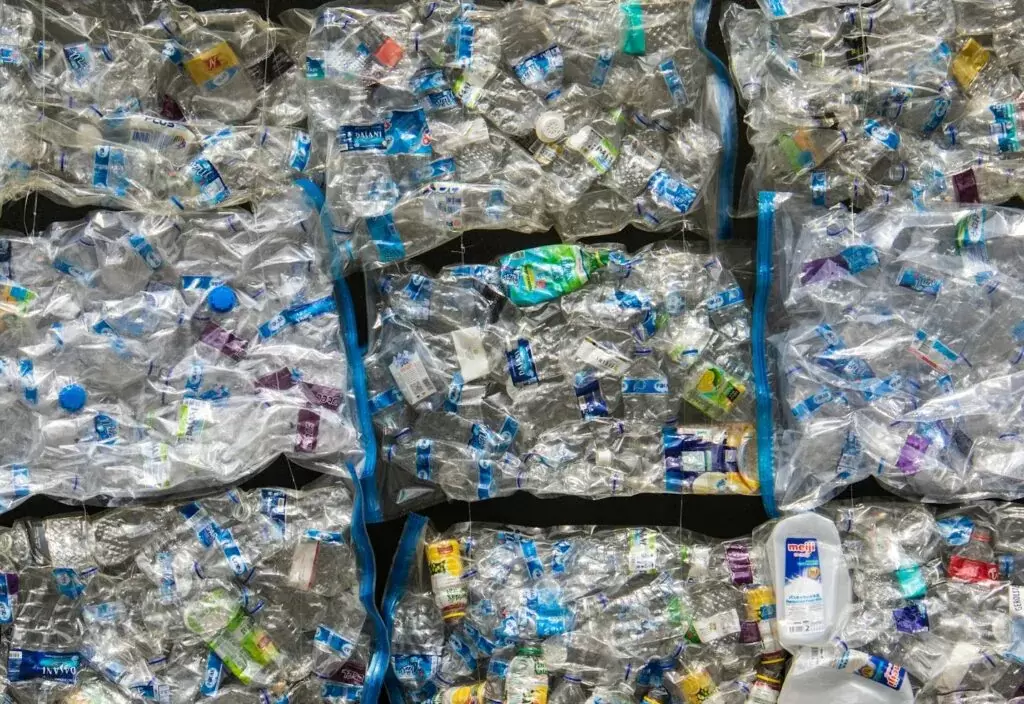 De Déchets de Volaille à l&#039;Emballage: La Révolution du Bioplastique à Base de Plumes