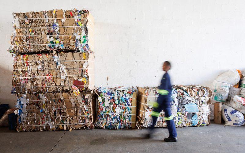 PETCO atteint un taux de conformité de recyclage de 99% en 2024, triplant les taux de récupération des cartons.