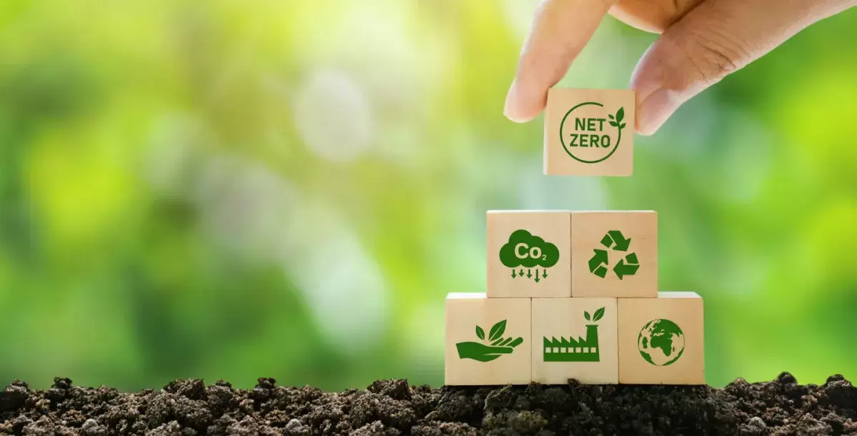 How Sustainable Packaging Can Be Your Brand’s Competitive Advantage