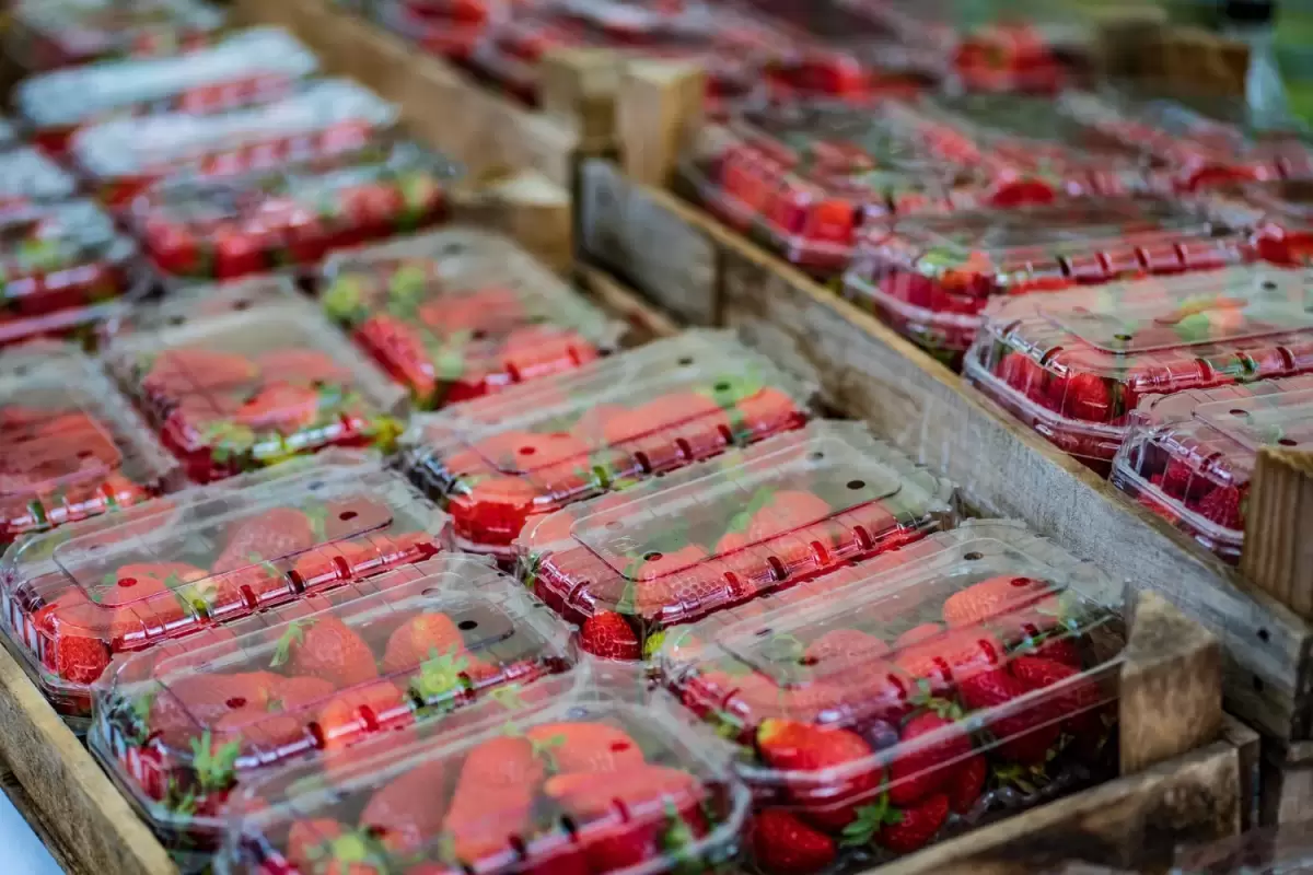 SPPA Roadmap: Functional Fresh Produce Packaging as the Key to Sustainability