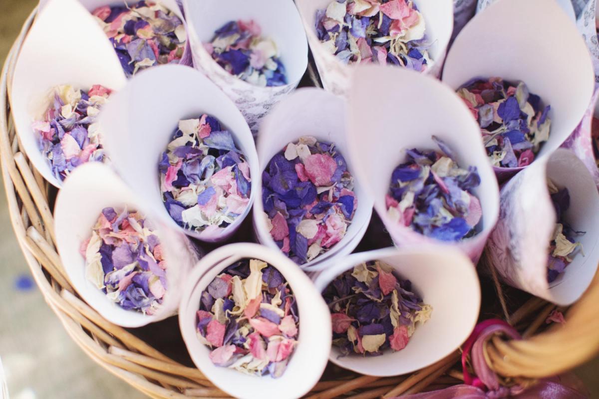 Flores comestibles que florecen en un empaque sostenible, transparente y enfocado en el producto.