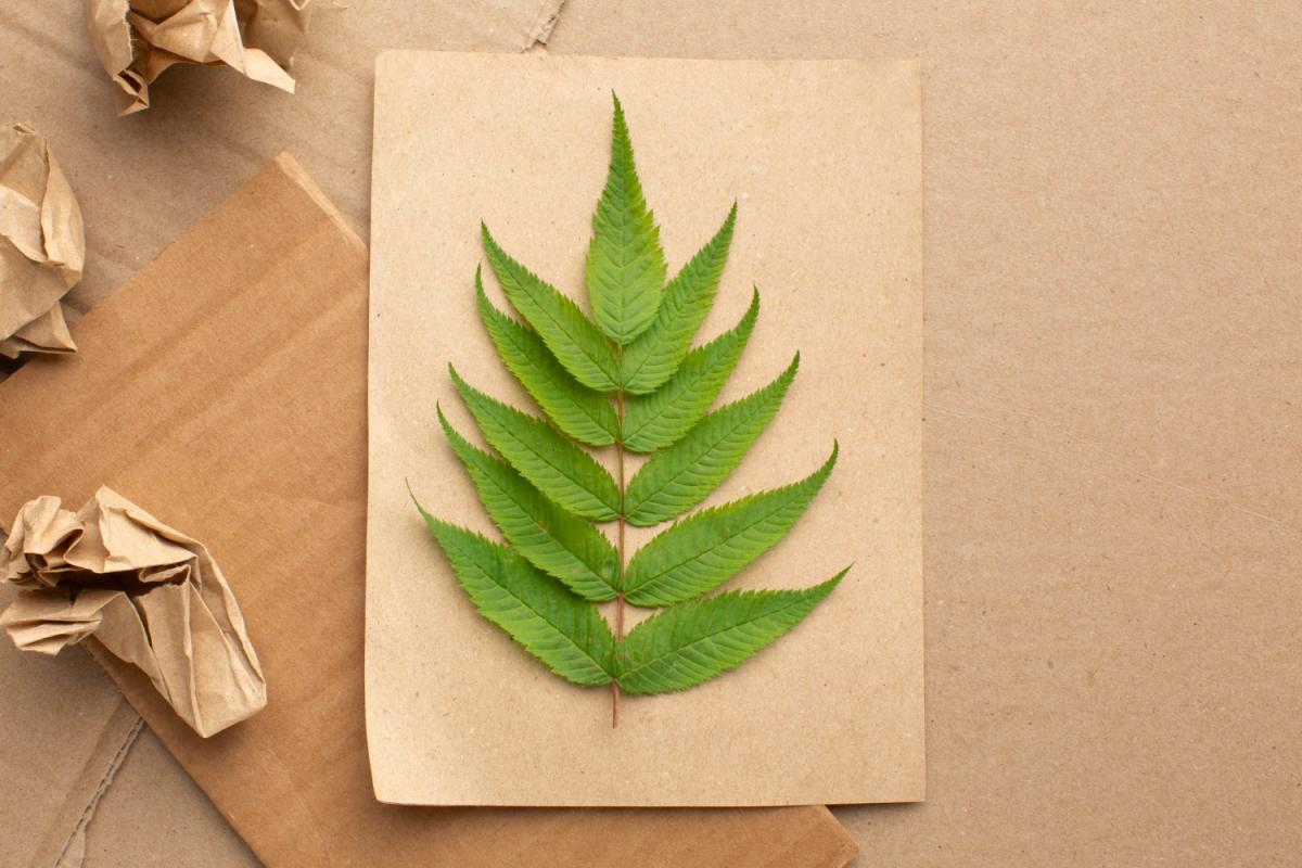 Hemp biocomposites are redefining circular packaging