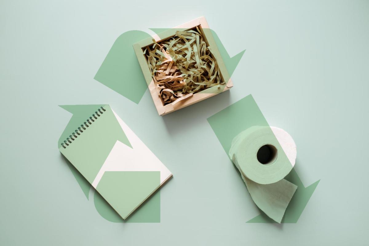 O Lugar do Papel no Panteão da Embalagem: Um Material Sustentável Reinventado