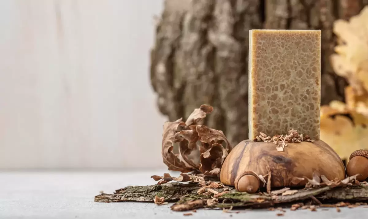 Empresa belga desenvolve fábrica de embalagens à base de cogumelos