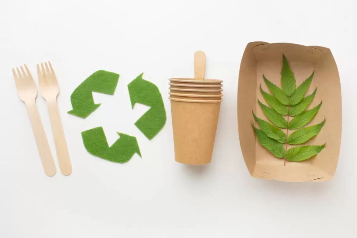 Nature Study Unveils Next-Generation Bio-Based Material for Sustainable Packaging