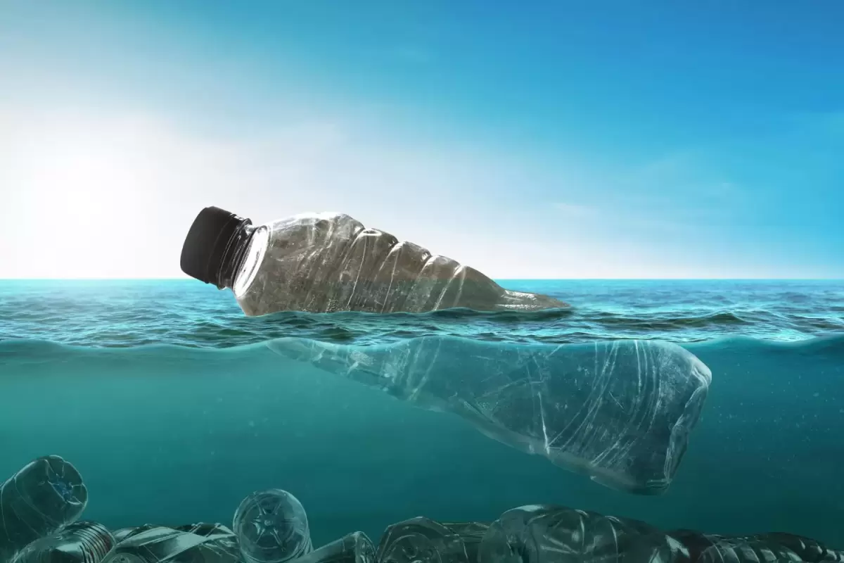 De los desechos oceánicos al embalaje: cómo el plástico marino está impulsando la innovación circular