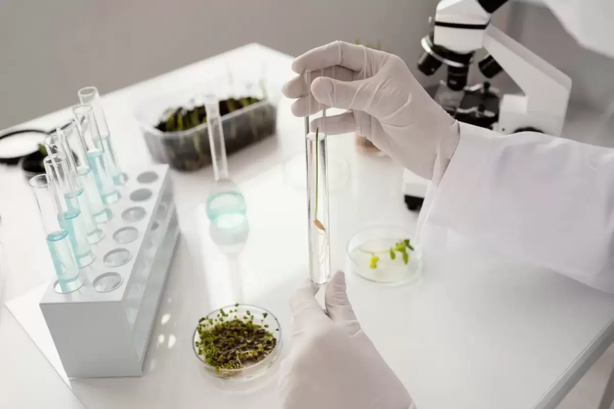 Hemp waste shows potential as lower-carbon feedstock for packaging films