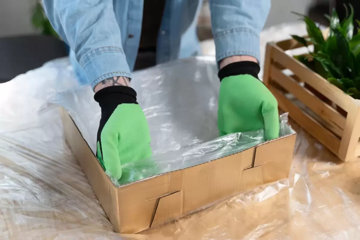 Bio-Based Laminate Packaging Materials Gain Momentum Toward 2035