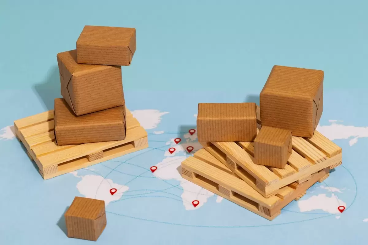 Packaging One Secures £4 Million Export Deal Backed by UK Export Finance