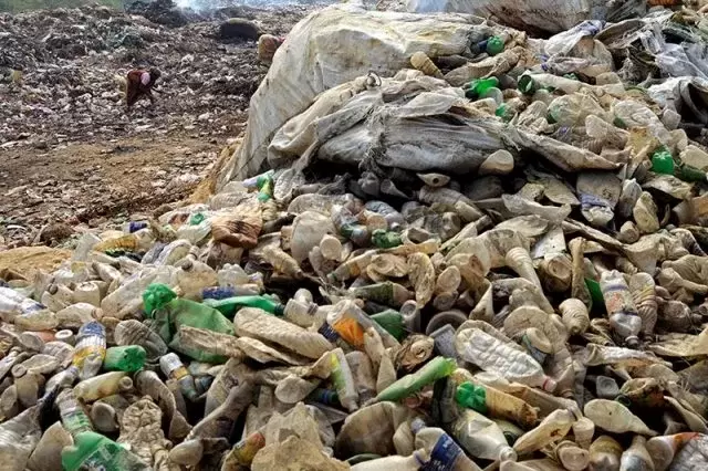 Microplastics Debate Highlights Need for Stronger Science and Better Packaging