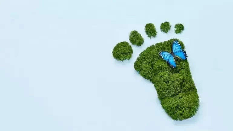 Quando Embalagens Mais Ecológicas Têm uma Pegada de Carbono Maior