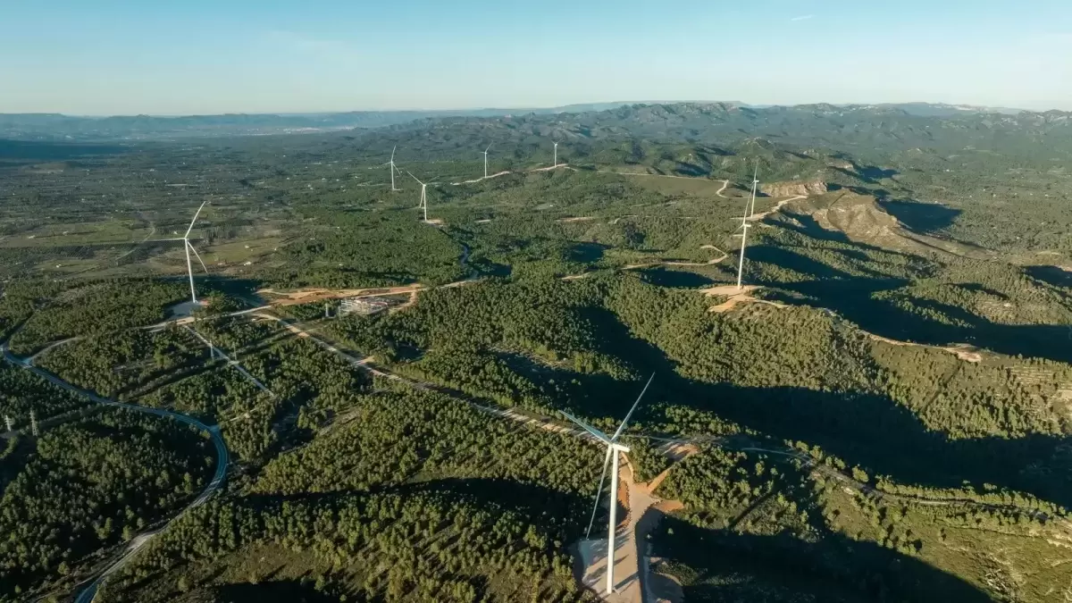 Las empresas de embalaje recurren a la energía renovable y la eficiencia para reducir costos.