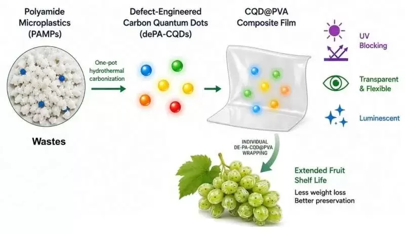 Les microplastiques de polyamide pourraient libérer des particules contenant du carbone dans l'environnement.