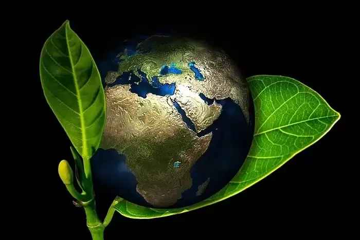 German Consumers Show Growing Willingness to Pay for Sustainable Packaging