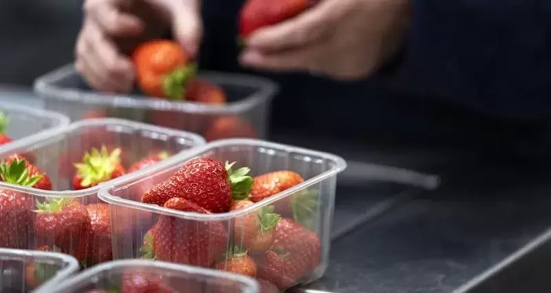 Agricultores do Reino Unido alertam que a certificação de embalagens plásticas deve evitar novos custos.