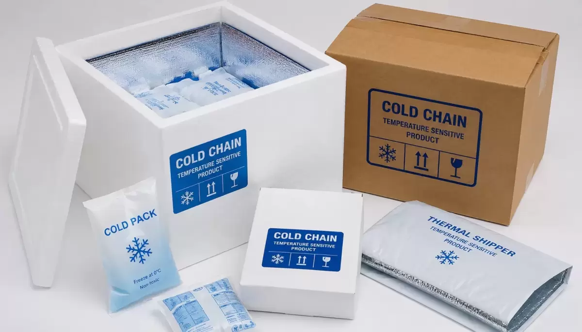 Cold Chain Packaging Market Why Is Temperature-Controlled Packaging Becoming Essential for Global Supply Chains?