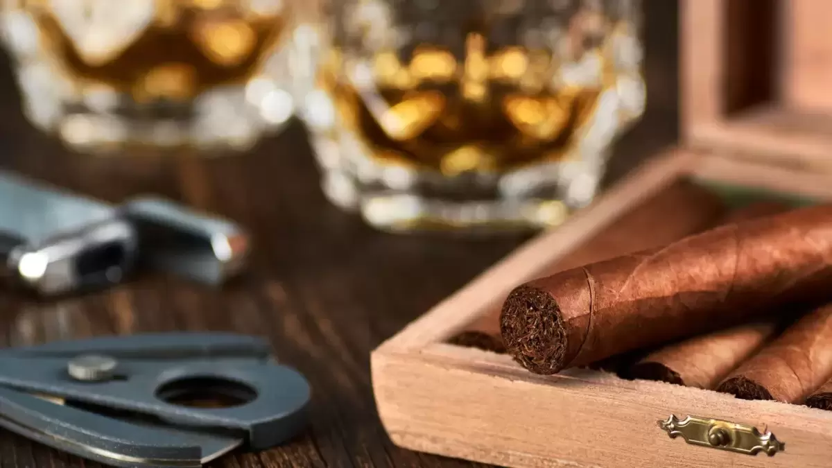 Importadores de Charutos do Reino Unido Lutam por Isenção das Regras Alargadas de Embalagem Simples