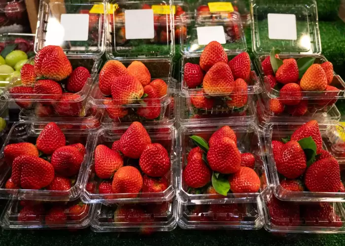 AVI Global Plast uses flexibility and recycled PET to meet changing fresh produce export needs