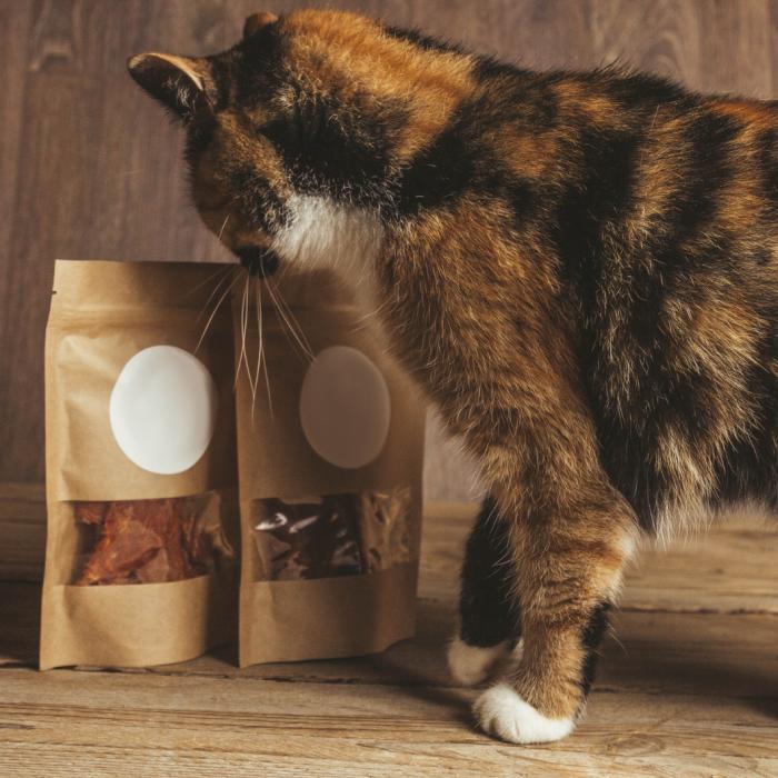 Pet Supplies Plus y Wag N’ Wash reciclan más de 100,000 libras de embalaje con TerraCycle.