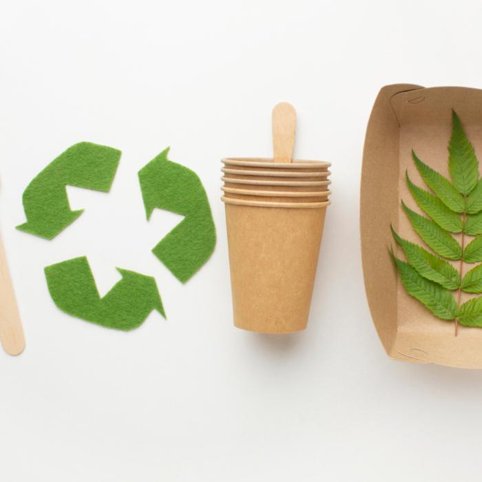 Estudo da Natureza Revela Material Bio-Based de Próxima Geração para Embalagens Sustentáveis