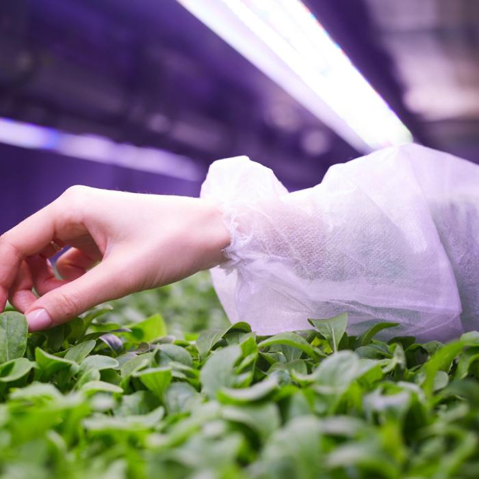 Avantium e Logoplaste unem-se para acelerar a inovação em embalagens de alto desempenho com o ReLeaF™.