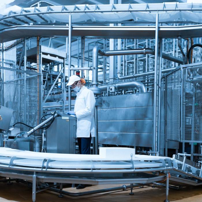 Industrial Auctions Offer Sustainable, Cost-Efficient Access to Vegetable Processing and Packaging Machinery