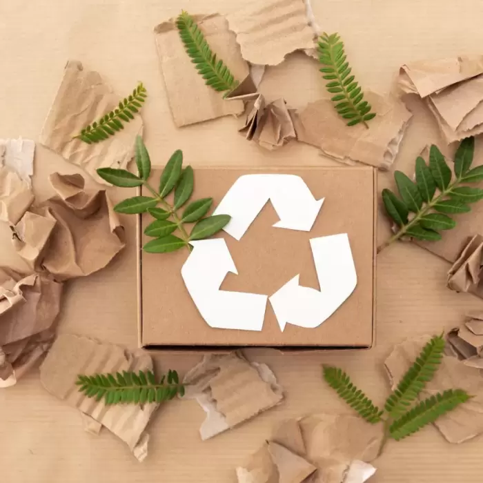 Marché des bioplastiques en Australie : matériaux durables, innovation dans l'emballage et avenir des polymères écologiques