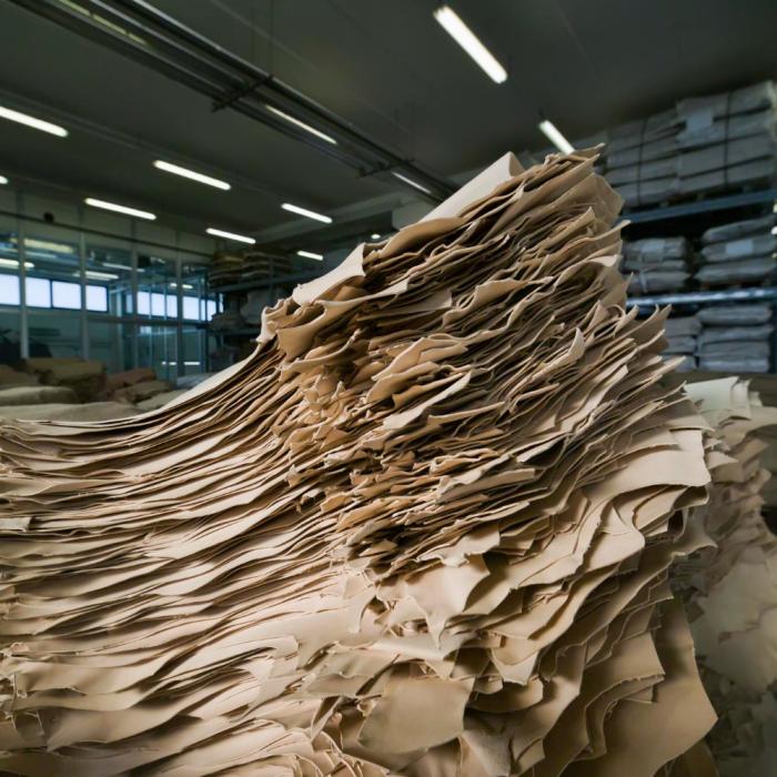 L'EPRC honore Mondi pour la promotion des emballages en papier fonctionnel recyclable en Europe.