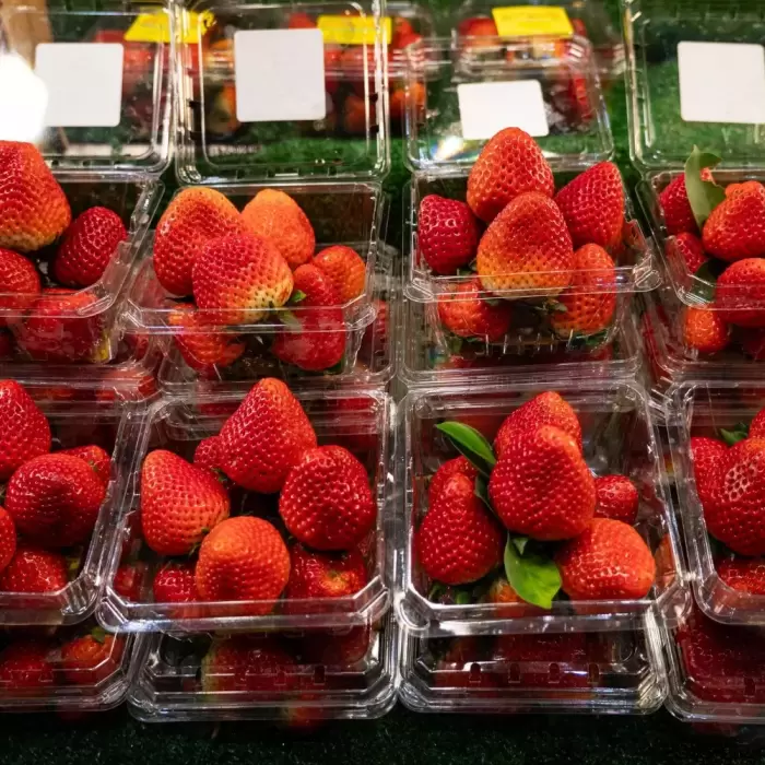 AVI Global Plast uses flexibility and recycled PET to meet changing fresh produce export needs