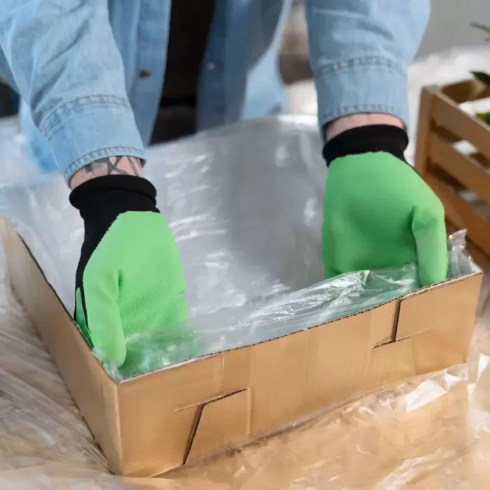 Bio-Based Laminate Packaging Materials Gain Momentum Toward 2035