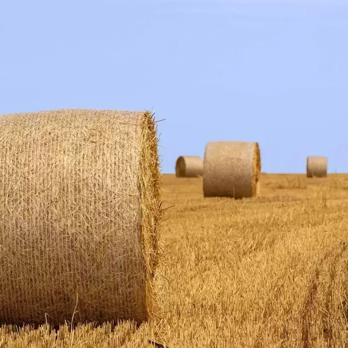 New Zealand Moves Ahead With Nationwide Farm Plastics Recycling Scheme