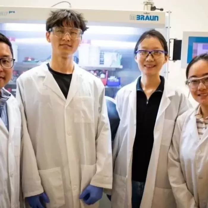 Cyclic Polymer Design Could Enable Tougher and More Sustainable Food Packaging