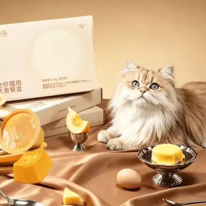 Amcor y Ge Wu An lanzan taza invertida de comida húmeda para mascotas en China.