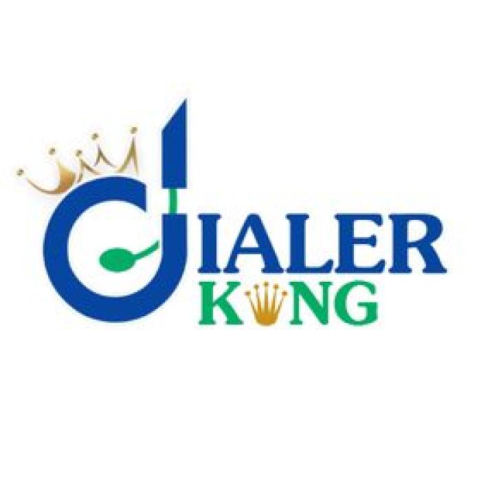 DialerKing – Powering Modern Contact Centers with Reliable Dialer Technology