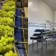 Servicios Trustpack: Innovación pionera en la industria del embalaje.