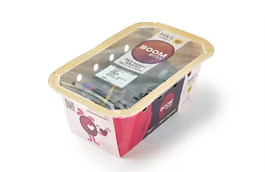 Paranova Scales Fibre-Based Punnets for Fresh Grape Packaging