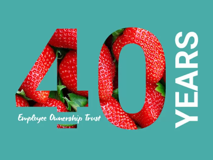 KM Packaging Celebrates 40 Years of Innovation and Sustainable Growth ...
